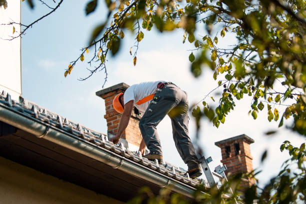 Best Residential Roofing Contractor  in Stuart, IA