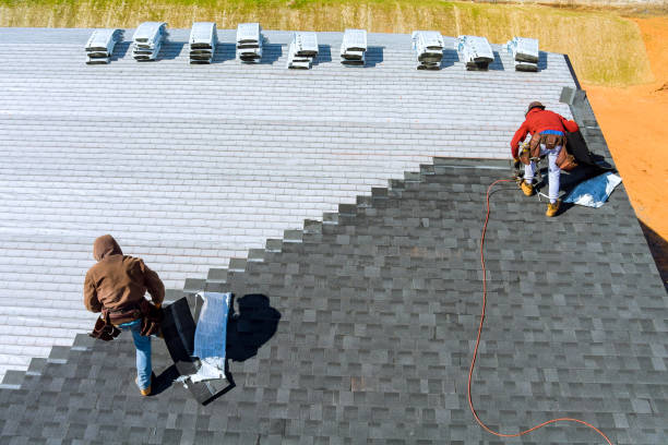 Best Roof Repair Specialists  in Stuart, IA